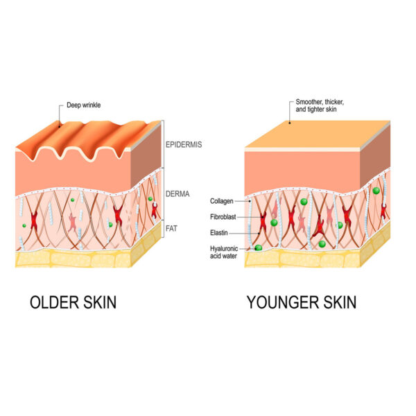 Anti-wrinkle  Fine Line-fading Lifting And Firming Skin Care - Imagen 7